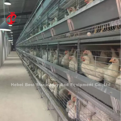 Sistema de jaula de baterías de nueva generación para aves de corral con diseño automático tipo H