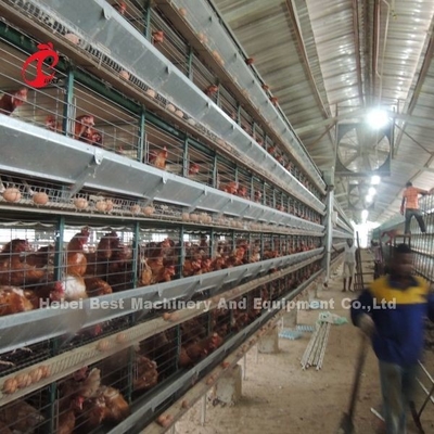 Sistema de jaula de cultivo de aves de corral de nivel 5 con máquina automática de recolección de huevos iris galvanizado