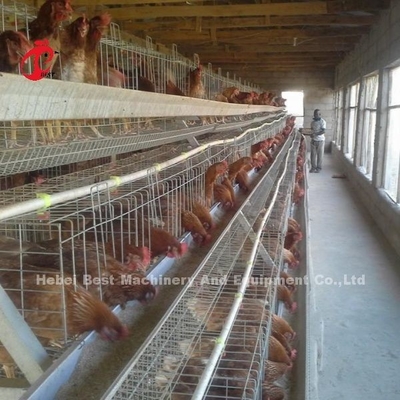 2.2m Por 2.4m Por 1.95m Capas de la caja de la batería Sistema 4 Nivel 160 Capacidad arenosa