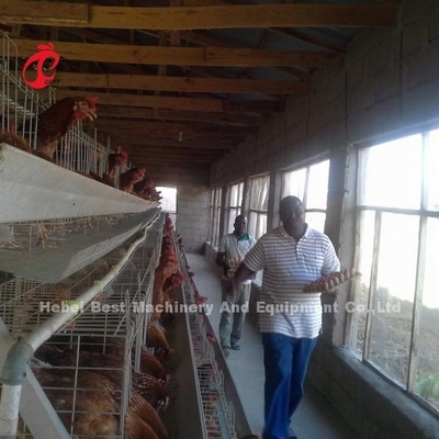 Sistema de jaula de baterías de aves de corral de acero galvanizado para granjas de aves de corral con arena