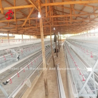 Sistema de jaula de batería de tipo A semiautomático con carrito de alimentación para capas de huevo Ada