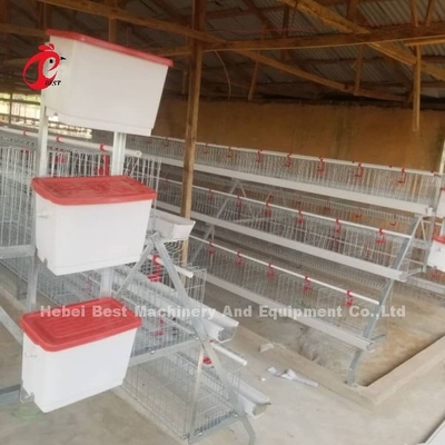 Sistema de jaula de batería de tipo A semiautomático con carrito de alimentación para capas de huevo Ada
