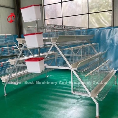 Sistema de jaulas de cría de aves de corral de hierro para Nigeria Zambia Kenia Ghana Camerún Sudán Gambia Nambia Mercado