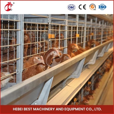 Fácil de instalar Sistema de jaula de batería de capa automática de aves de corral con iris de bebedor de pezones