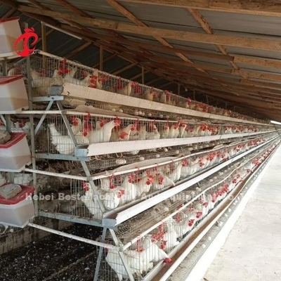 Sistema de jaula de baterías de aves de corral de acero galvanizado para granjas de aves de corral con arena