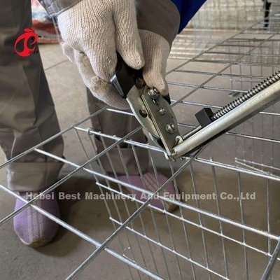Acer galvanizado personalizado tipo A de la jaula de la capa de aves de corral para el punto de poner arena