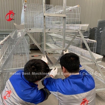 Galvanizado un tipo de nivel 3 o 4 de nivel de pollo de aves de corral capa de batería de jaula para 45.000 aves de corral de aves de corral de la granja Doris