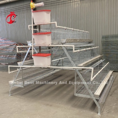 Sistema automático de bebida para el pollo Sistema de jaula de cría de aves de corral de capas Granja de pollos Doris