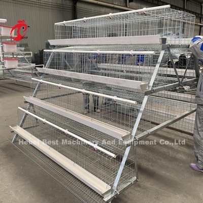 A y H Equipo de jaula de gallinas para la cría de pollos Granja Doris