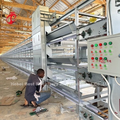 Jaula de capas de aves de corral automática con alimentador y sistema de bebedoiro ajustable
