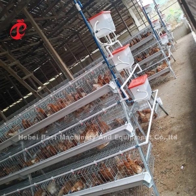 La crianza de gallinas se hace fácil con la jaula de capas de aves de corral en A o H Tipo 450cm2 Ada