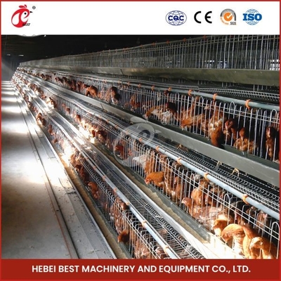 120 pájaros galvanizado caliente de la caja de la batería de un tipo de capa de la jaula de pollo Mia