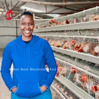 Sistema de jaula de pollo de acero galvanizado