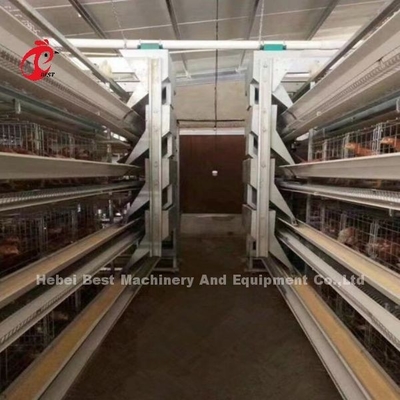 Sistema de jaula de baterías de capa automática marco H para 30000 aves granja avícola Emily Wang