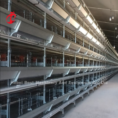 Nuevo diseño Tipo H Sistema automático de jaula de pollo 96-200 Aves Capacidad para la cría de aves Emily Wang