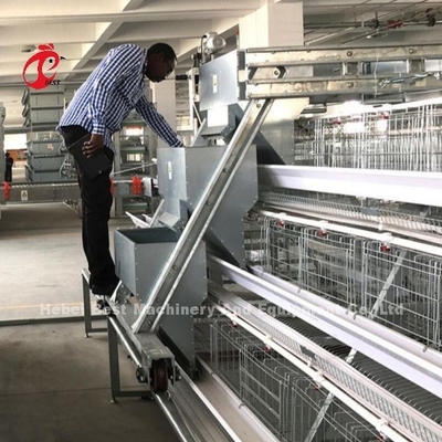 Tipo H de aves de corral de la batería de las jaulas electro galvanizado duradero de importación automático chupete de beber Iris