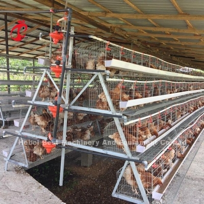 3 Tier 120 Aves y 4 Tier 160 Aves Sistema de jaula de batería de capa para Uganda Tanzania Granja de aves de corral Sandy