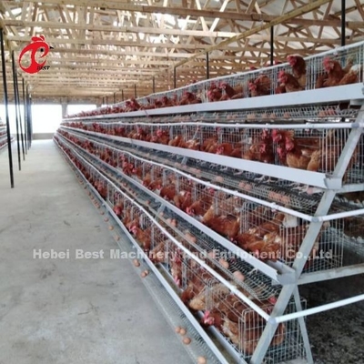 Sistema completo de jaulas de cría de aves de corral con bebedoras automáticas de pezones y herramientas de instalación
