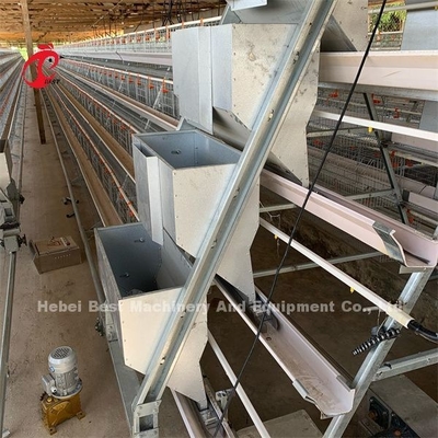 Puertas vendedoras calientes del sistema 32 de la jaula de la avicultura de África para los pájaros Emily de la colocación de huevo