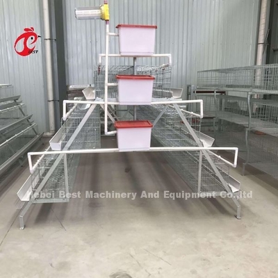 Sistema de jaulas de aves de corral galvanizadas de 3 niveles Mia