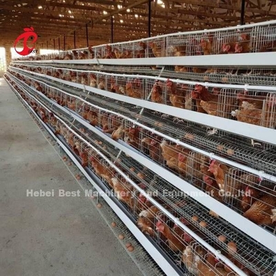 Puertas galvanizadas sistema de la jaula 40 de la capa del huevo de la jaula de la avicultura en África Adela