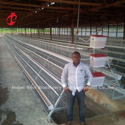 Jaula de pollo de 110 kg de capacidad para la cría de pollos de 432 cm2 Doris tipo A o H