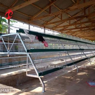 Sistema galvanizado sumergido caliente de la jaula de batería de la capa para la granja avícola Q235 Emily de acero