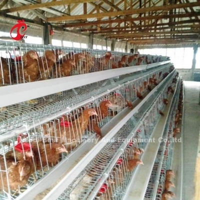 La mejor calidad un tipo pájaros Emily de la jaula 240 del pollo del huevo de la capa de la batería de la jaula de la capa