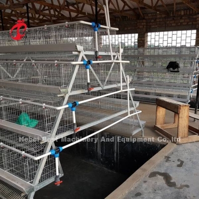 Puertas galvanizadas sistema de la jaula 40 de la capa del huevo de la jaula de la avicultura en África Adela