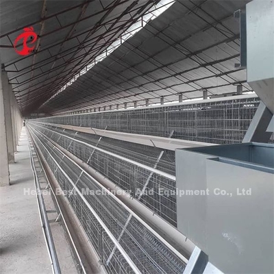 La jaula caliente de la capa de las aves de corral de la batería de la venta 2022, cubrió una capa del capítulo enjaula 25 años de Emily