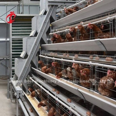Sistema de alimentación 1.5KW 380V Doris de las aves de corral de la jaula semi automática de la capa