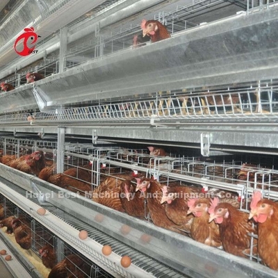 Sistema de alimentación 1.5KW 380V Doris de las aves de corral de la jaula semi automática de la capa