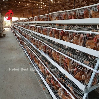 Tipo jaula África Doris del sistema H de la jaula de batería de las aves de corral del marco de la barra de ángulo del pollo de la capa