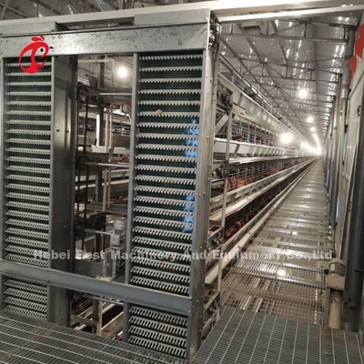 Sistema automático de recolección de huevos de alimentación para 30.000 granjas de pollos Doris