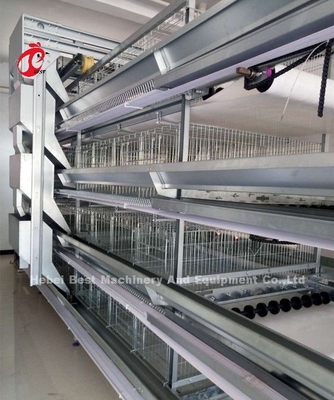 Un tipo sistema automático Sandy de H de la jaula del pollo del criador del equipo de las aves de corral de la capa