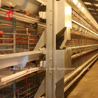 Jaula de acero Emily del pollo de la capa del sistema de la jaula de la capa de las aves de corral del control eléctrico