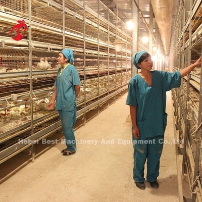 Diseño moderno de la batería de la capa de la jaula H tipo de la jaula de la granja avícola ISO14001 Emily