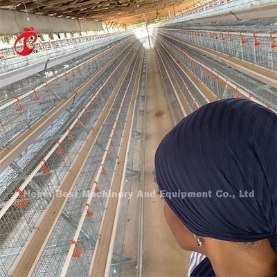 Un tipo de huevo manual de las gallinas de la jaula de aves Emily