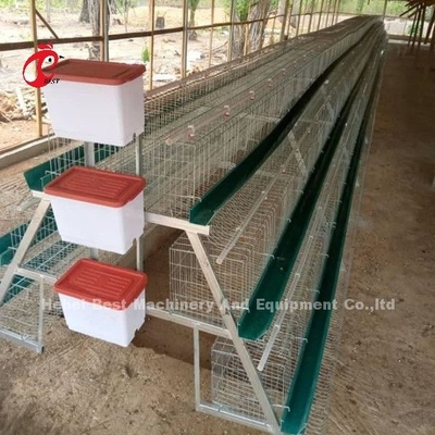 Nigeria sistema superior y de lujo de Warehouse de las aves de corral de batería de la jaula para los pollos Sandy de la capa