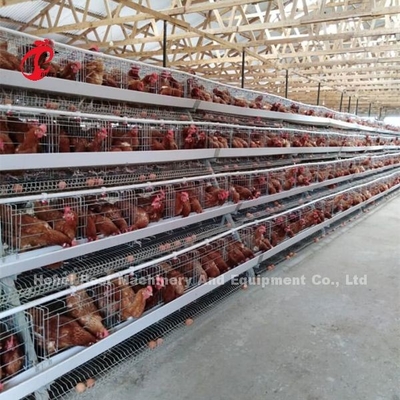 Diseño de la casa de la dureza que pone el sistema de la jaula de batería del pollo con la jaula Mesh Iris