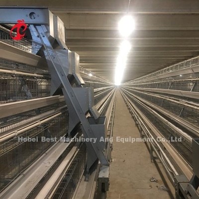 Un tipo sistema automático de la jaula de la capa con el equipo de las aves de corral en el iris de Nigeria