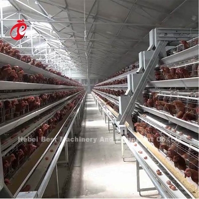 Un tipo sistema automático de la jaula de la capa con el equipo de las aves de corral en el iris de Nigeria