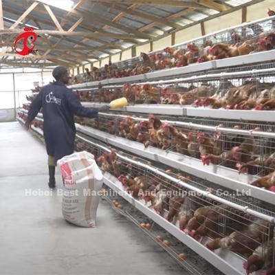 China importó la jaula de batería revestida del pollo ISO9001, puerta Sandy del sistema 4 de la jaula del pollo de la capa