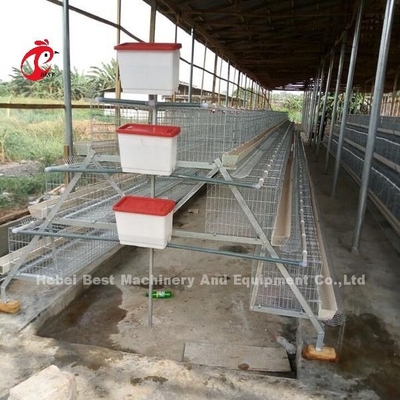 China importó la jaula de batería revestida del pollo ISO9001, puerta Sandy del sistema 4 de la jaula del pollo de la capa