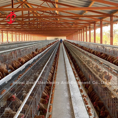 Sistema automático de jaula de pollo de 120 baterías con superficie galvanizada Adela
