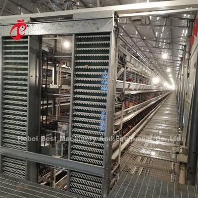 Cage de capas de aves de corral galvanizadas calientes y profundas para 20.000 aves