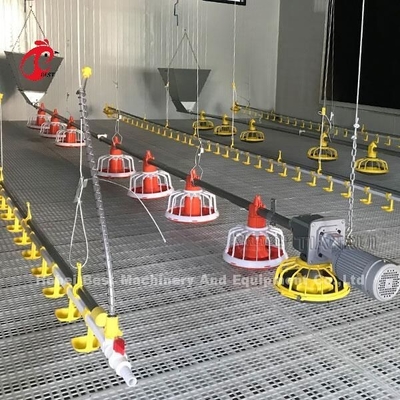 Jaula automática del pollo tomatero con el alimentador Pan Drinking System Emily del piso