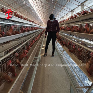 Precio de acero al por mayor de la jaula de batería de la capa Q235 en la vida útil larga Mia de Nigeria