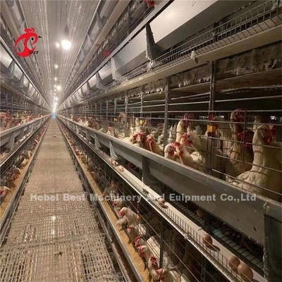 144 Aves Capacidad H Tipo de jaula de capas para el pollo comercial Mia