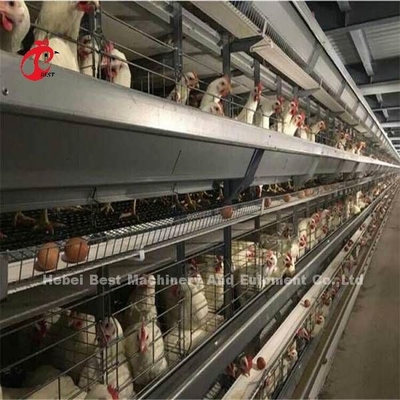 3 4 jaulas de batería automáticas del pollo de la capa de las gradas para las ponedoras Mia